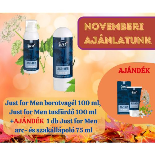 Just for Men borotvagél 100 ml, Just for Men tusfürdő 100 ml + 1 db JFM arc- és szakállápoló 75 ml